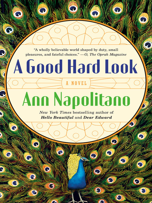 Title details for A Good Hard Look by Ann Napolitano - Available